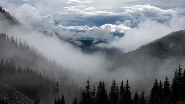 What Is The Minimum Deposit Required On Cricbet99?