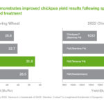 How to Easily Get Your Cricket ID Online – A Complete Step‑by‑Step Guide